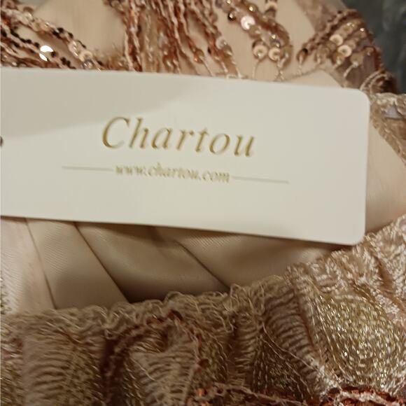 Chartou Off The Shoulder Fringed Sequin Party Style Dress NWT - Picture 7 of 11